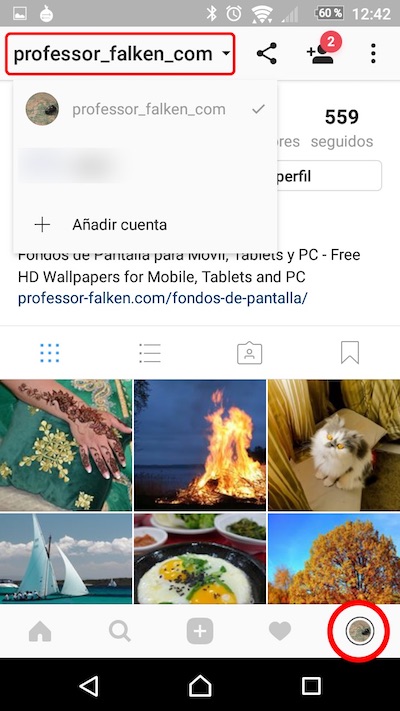 Cómo usar múltiples cuentas de Instagram en tu teléfono móvil - Image 4 - professor-falken.com